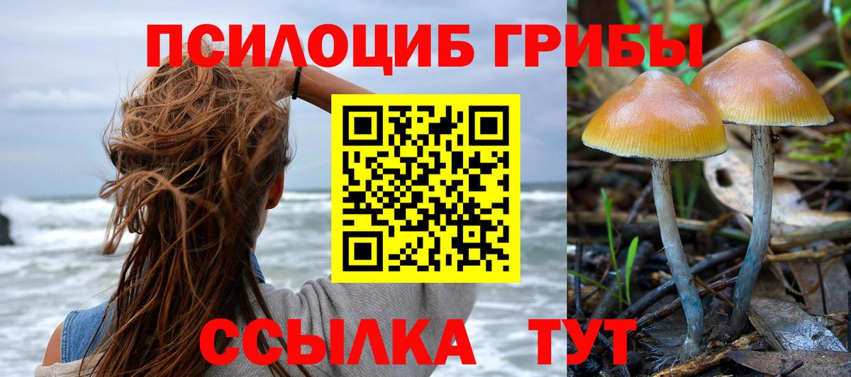 Псилоцибиновые грибы Psilocybe Истра