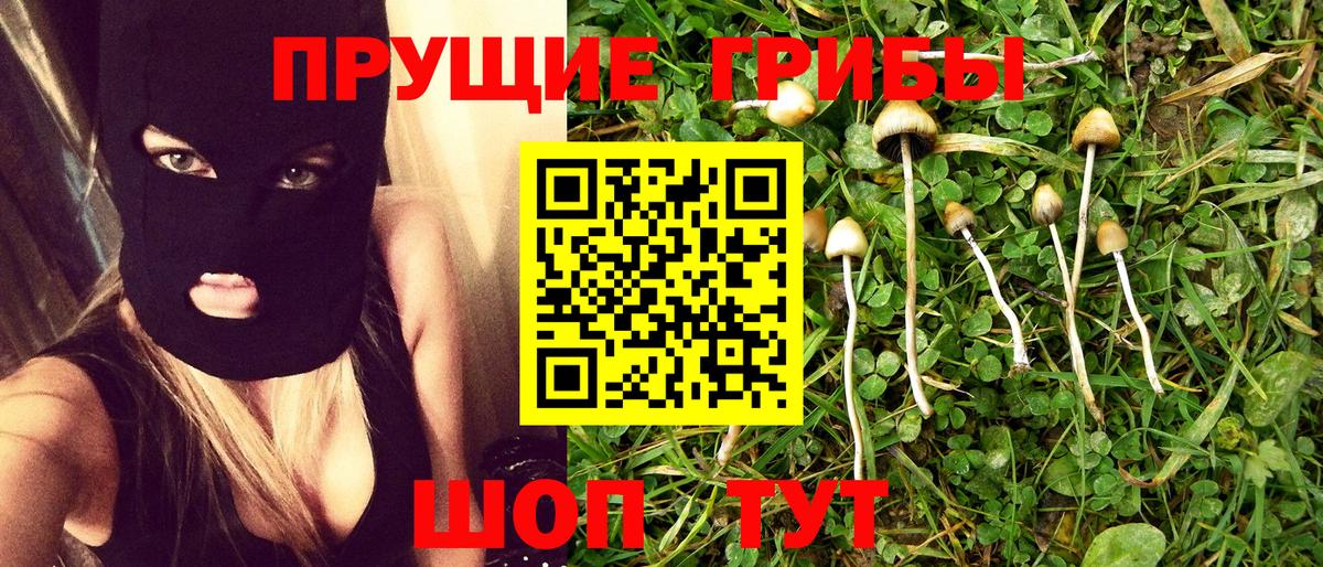 Галлюциногенные грибы Magic Shrooms  Вход с VPN  Истра  Псилоцибиновые грибы мицелий 