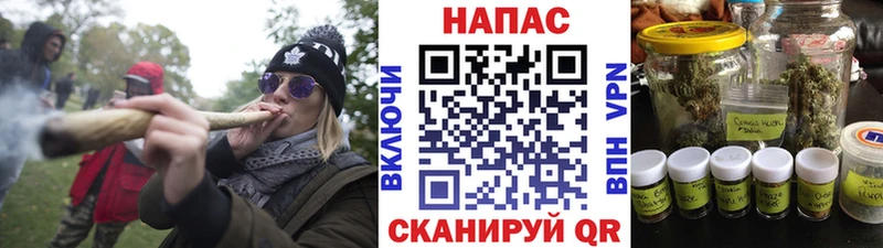Бошки Шишки тримм  Истра 